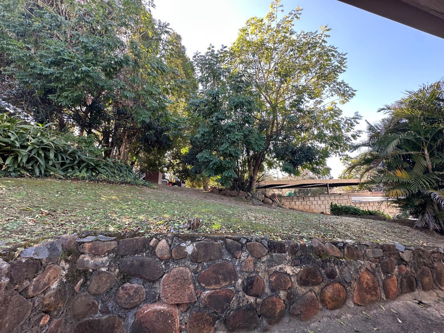 753377_IMG_0333.jpeg