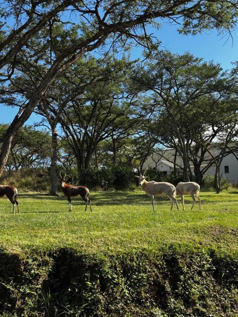 Vacant land Agricultural for Sale - KwaZulu Natal