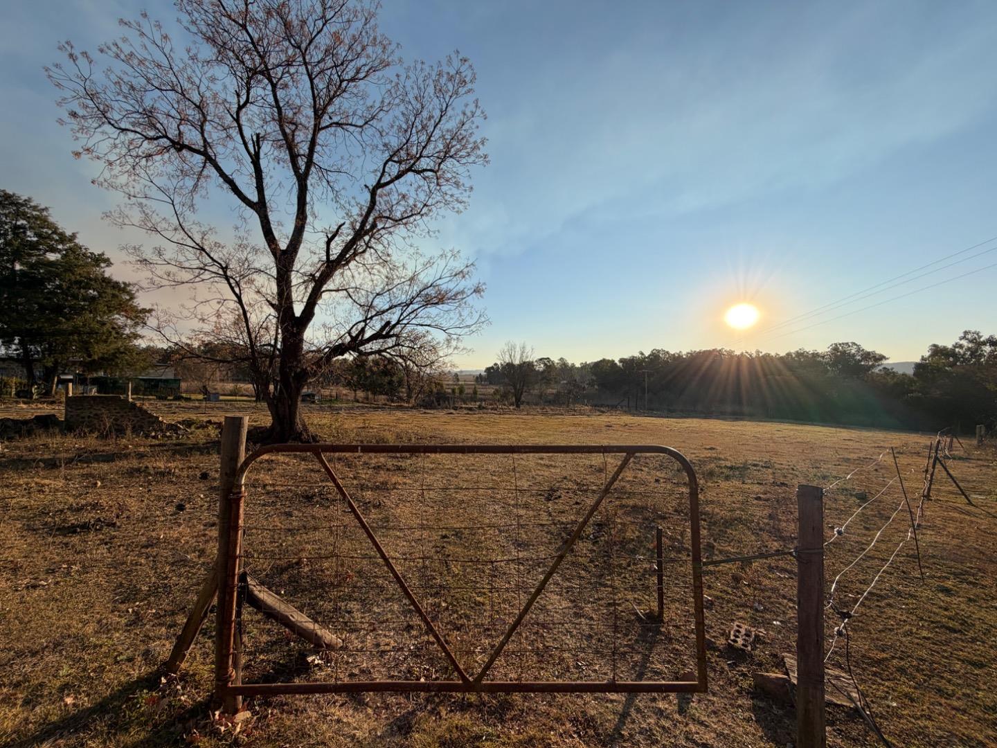 768556_IMG_6336.jpeg
