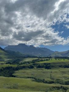 730829_c28a22ad-8d5b-4c6f-8779-2042f47fd130.jpeg