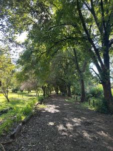 740373_IMG_3887.jpeg